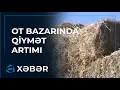 Download Lagu Ot bazarında qiymət artımı müşahidə olunur