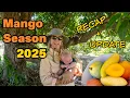 Download Lagu Mangoseizoen 2025 | Samenvatting en update!