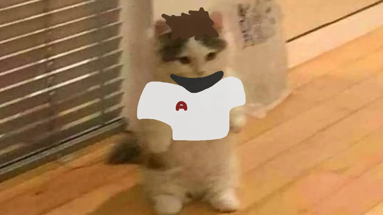 ...