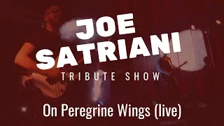 Download On Peregrine Wings - Joe Satriani Tribute Show (Live Band Cover) MP3