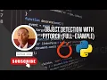 Object Detection with Pytorch Full-Example