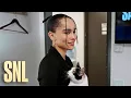 Please Don t Destroy - We Got Her a Cat