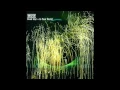 Download Lagu Muse - Dead Star HD