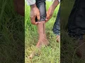 Download Lagu Thangapoovey -Video Song|Madharaasi|Sivakarthikeyan| Rukmini |A.R.Murugadoss |Anirudh #shorts