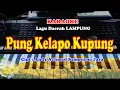 Lagu Daerah LAMPUNG - PUNG KELAPO KUPUNG - KARAOKE
