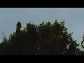 Skee Mask - Resort