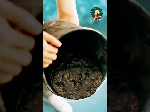 طريقة عبقرية لصنع ممر حجري أمام منزلك! 🤯😱 #shortvideo