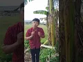 SALAM DARI BINJAI | PARIS PERNANDES
