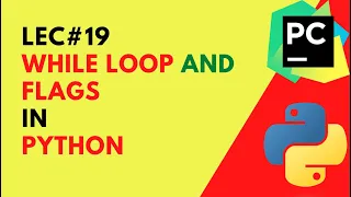 How to use while loop and flags in python codetrix