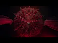 Download Lagu Mayyas Official - Aaliyah (Official Music Video)