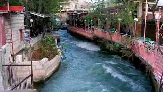 ياسمين الشام على خدي Yasmin Al Sham 