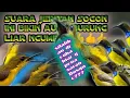 Lagu SUARA pikat Sogon kejepit!!! auto burung liar ngumpul#suarapikatsogon#suarapikatsogoontong