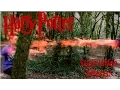 Harry Potter Spell Effects Adobe After Effects Tutorial