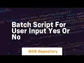 Batch script for user input yes or no