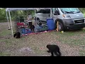 Velvet Puppies 10 08 2022 Part 1 Walk at G2 in Ocala Kerry Blue Terrier