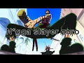 Why zoro is racist 100 not even imo