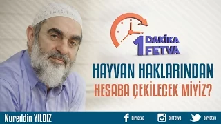 Hayvan haklarından hesaba çekilecek miyiz?