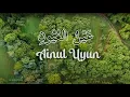 Download Lagu Ainul Uyun - Nazwa Maulidia Video Lirik