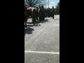 Carroll County Sheriff s Deputy Curtis Allen Bartlett s Funeral E O W 17