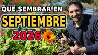 Calendario de Siembra 2026: Que sembrar en SEPTIEMBRE en el Huerto de Otoño y de Primavera