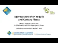 Agaves More Than Tequila and Century Plants
