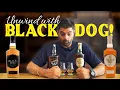 Lagu Black Dog Whisky Review | Gold vs Black Reserve | Taste | Price | Comparison @abmoriginals3225