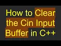 How to Clear the Cin Input Buffer in C