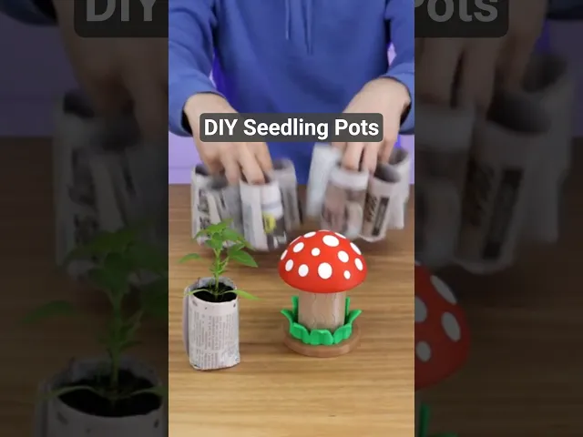 Mushroom Paper Potter – Seedling Pot Maker video thumbnail