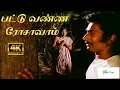 Download Lagu பட்டு வண்ண ரோசாவாம் பார்த்த கண்ணு மூடாதாம் | Pattu Vanna Rosavam | Malaysia Vasudevan Song | 4K
