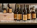 Download Lagu How to Make Natural Red Wine at Home