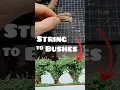 The Easiest DIY Bushes for Dioramas Wargaming Terrain