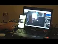 Operation Ohio Knows leads to arrests of 161 in anti-human trafficking sting