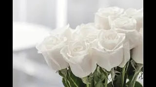 Тільки тобі Іван Гавриляк авторська Suno ШІ Музика 