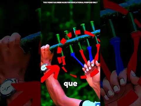 Construyó Un Lanzador Con Bambú… ¡Y Funciona! 🤯🎯