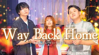 名曲 Way Back Home SHAUN Japanese Lyric Ver By SG Covered By WHITEBOX 