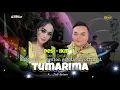 Download Lagu TUMARIMA || desi - ikmal || Dangdut Koplo Bajidor || Live GEJOTKEUN OFFICIAL