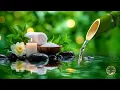 Download Lagu Soothing Music with Water Sounds 🍃 Relaxing Piano Music for Sleep, Stress Relief and Calm Anxiety