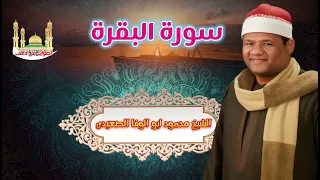 الشيخ محمود ابو الوفا الصعيدى سورة البقرة 1 