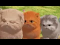 Row Row Row Your Boat l Nursery Rhymes & Kids Songs
