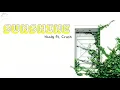 [Vietsub + Lyrics] Sunshine - Hoody ft. Crush