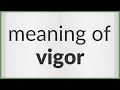 Vigor meaning of Vigor