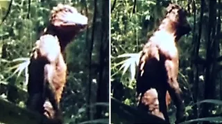 Unknown Creatures Caught on Camera That Should Not Exist