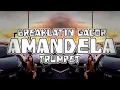 Download Lagu DJ AMANDELA TRUMPET GACOR RONAL GILAK REMIX 2025