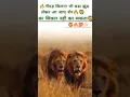 Download Lagu शेर||🔥attitude||💯|| shayari|| Lion||Attitude||🔥||shayari||status||shorts video