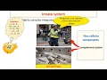 Innate and adaptive immune system