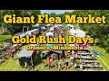 Download Lagu Giant Flea Market - Minnesota Gold Rush Days 