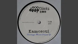 chicago mind state