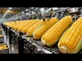 Lagu Inside a Factory: How Movie-Theater Popcorn Is Mass-Produced (Full Process)