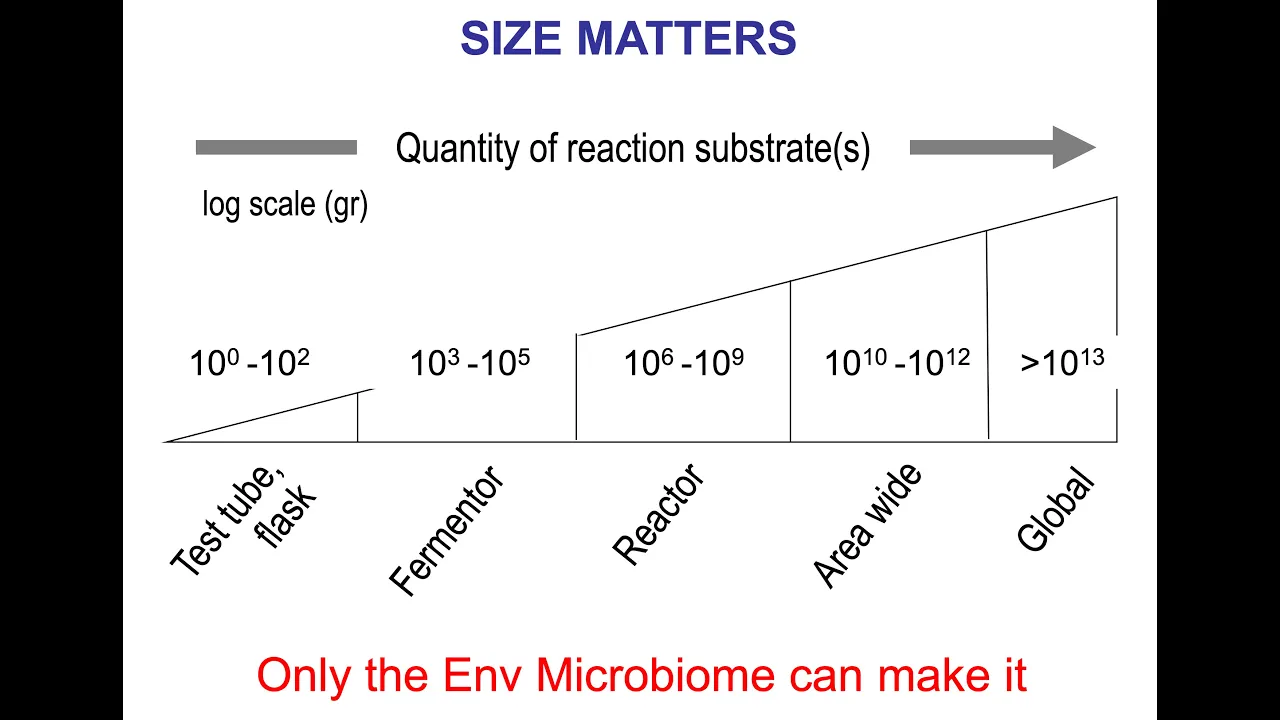 Synthetic Biology for Global Bioremediation | Victor de Lorenzo