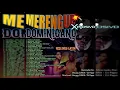 Download Lagu MERENGUE DOMINICANO Xplosivo - SHAGGY DJMIX - DJ PAPO - FEELINGS LATIN DISCPLAY